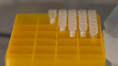 Laboratuvar asistanı pipette özel nozül alıyor