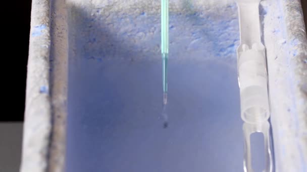 在液氮中放置胚胎的程序 — 图库视频影像