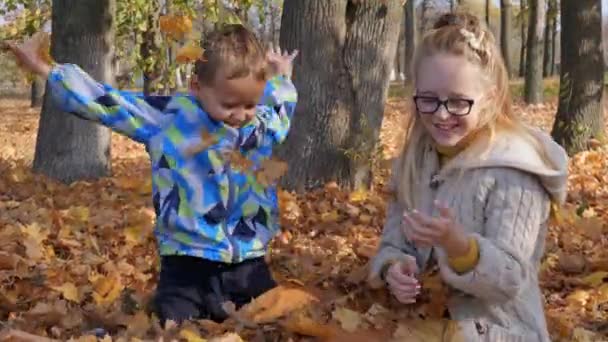 Crianças felizes brincando com folhas de outono caídas — Vídeo de Stock