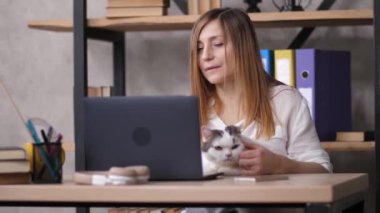 Ofiste bilgisayarla çalışan kadın portresi