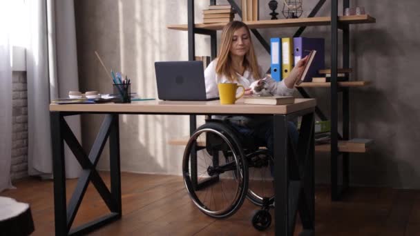 Behinderte Arbeiterin mit Katze auf Knien im Büro — Stockvideo