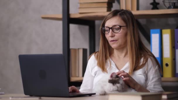 Перегруженная работой женщина с головной болью каждый день за ноутбуком — стоковое видео