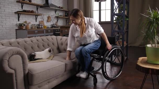 Soins handicapés femelle caressant chat couché sur le canapé — Video