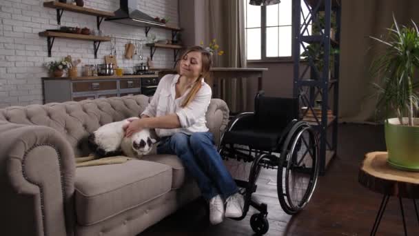 Positiv handikappad kvinna smeka katt på soffan — Stockvideo