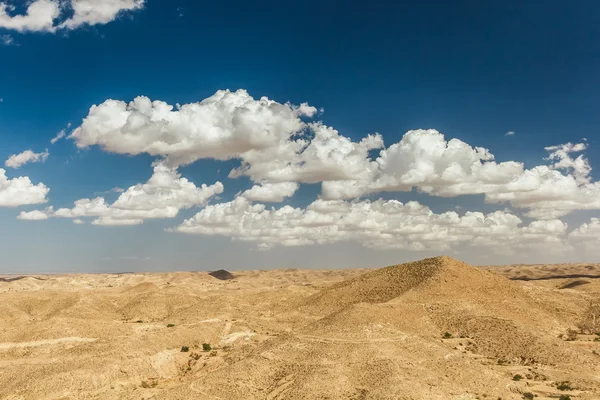 Uitzicht op de bergen in de woestijn. Toeristen op de top van een heuvel. Tunesië. — Stockfoto