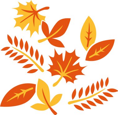 sonbahar vektör yaprak