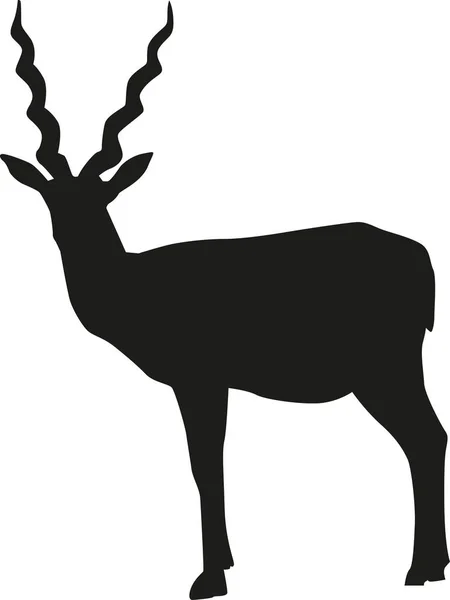 Antilopa silueta vektor — Stockový vektor