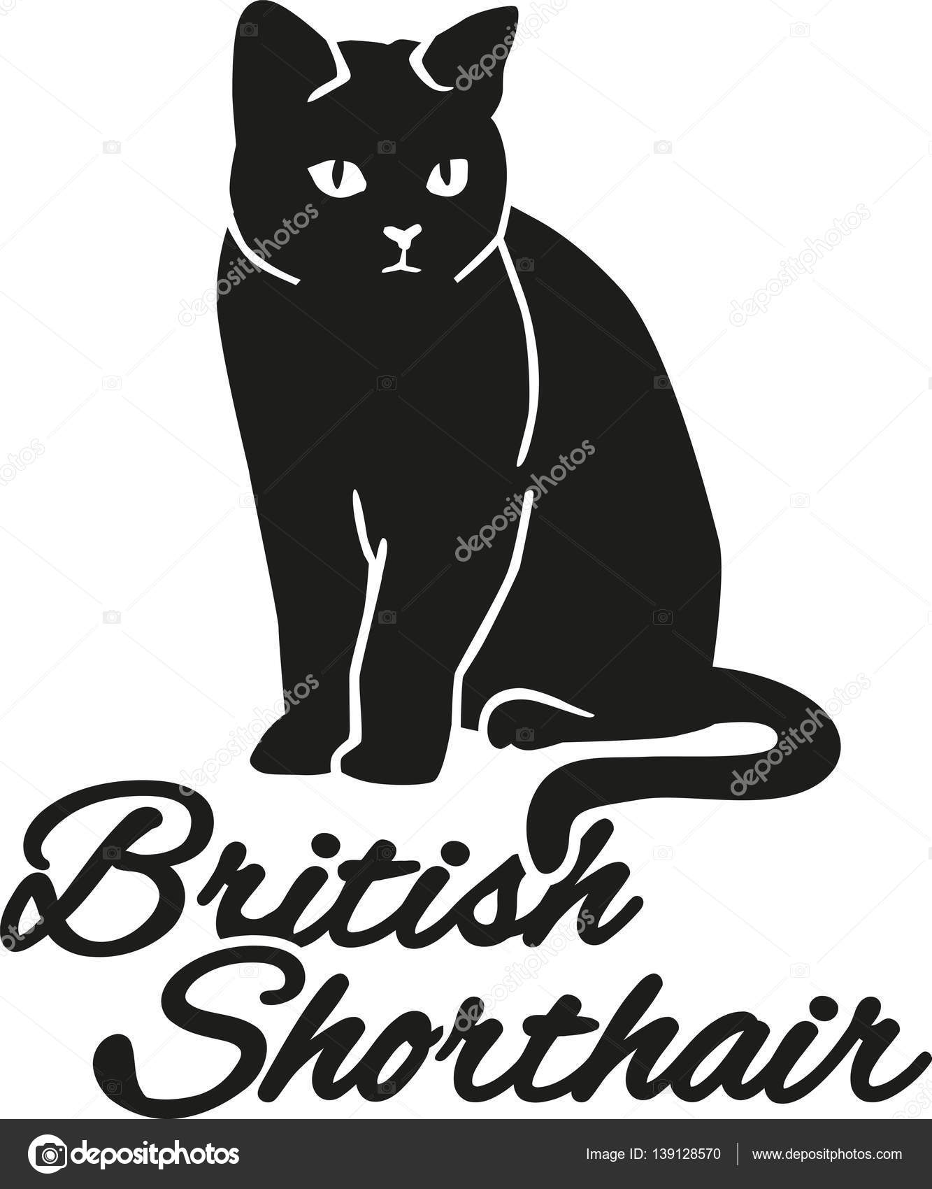 Britisch Kurzhaar Katze Mit Rasse Namen Stockvektor