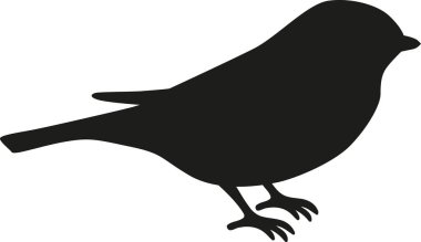 Kuş siluet baştankara