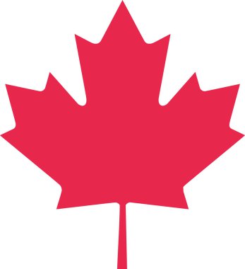 Kanada akçaağaç yaprağı