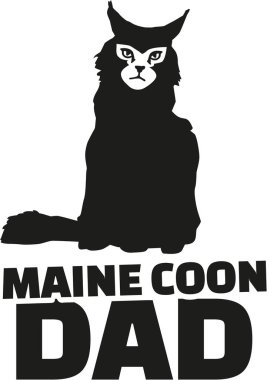 Maine coon baba