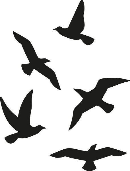 Flock of five birds
