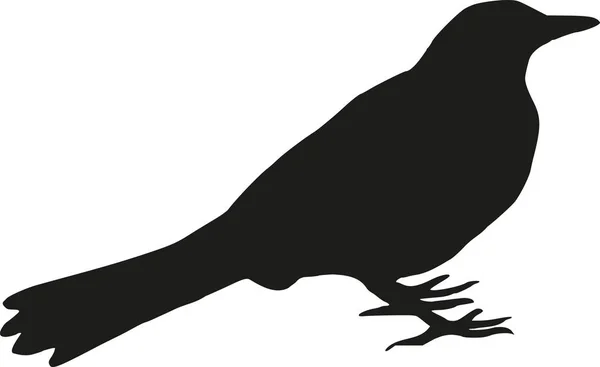 Blackbird silueta vector — Vector de stock