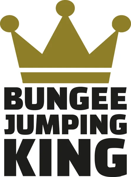 Bungee jumping king — Stock Vector