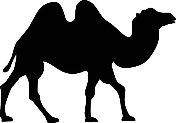 Camel Silhouette vector — Stock Vector