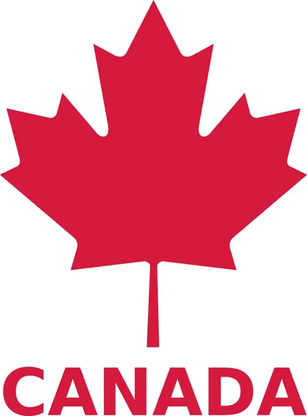 Javorový list s Kanadou slovo — Stockový vektor
