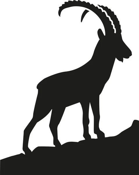 Ibex a hegyekben — Stock Vector