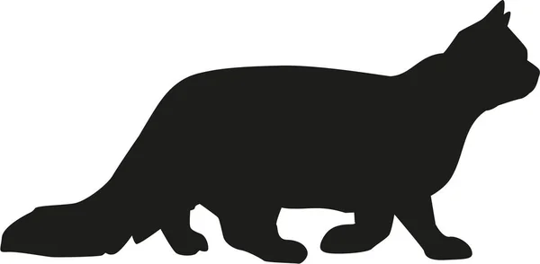 Angora cat silhouette — Stock Vector