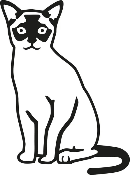 ビルマ猫ベクトル — ストックベクタ