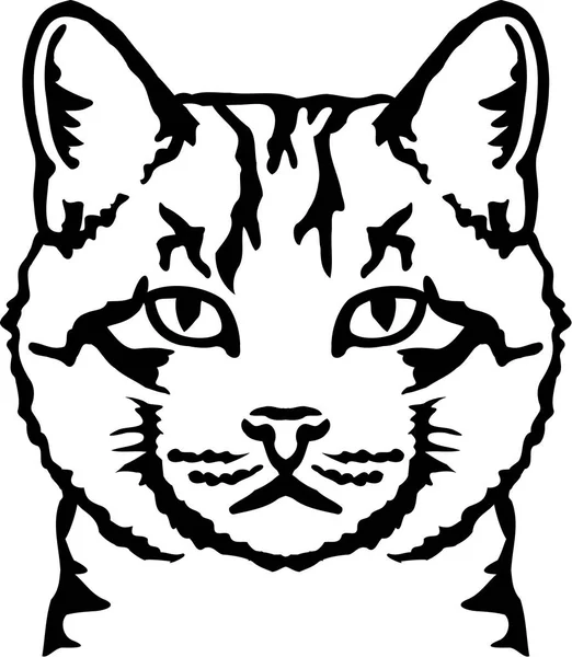 Riktiga katt huvud tiger — Stock vektor
