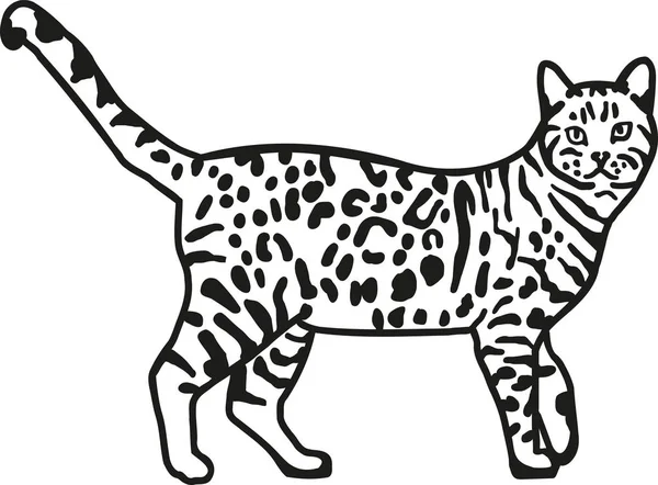 Gato de bengala leopardo — Vector de stock