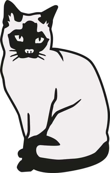 2 つの色のシャム猫 — ストックベクタ