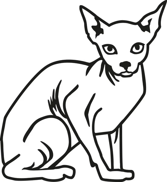 Sphynx katt kontur — Stock vektor