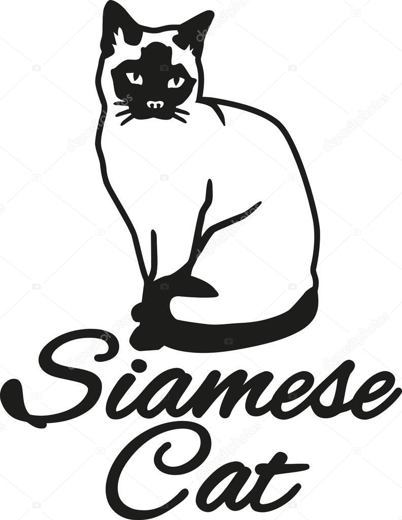 Siamese cat with breed name