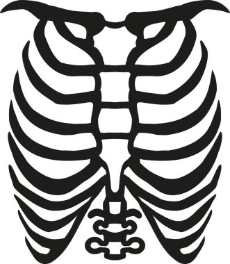 İnsan göğüs kafesi vektör