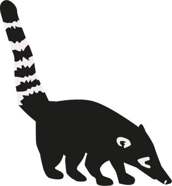 Coati çizgili kuyruk ile