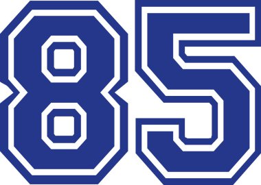 Seksen beş üniversite sayısı 85