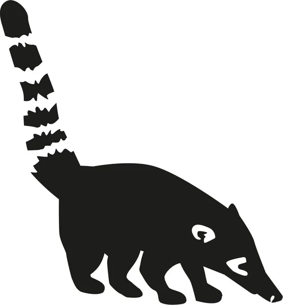 Coati silhouette with details — Stock Vector