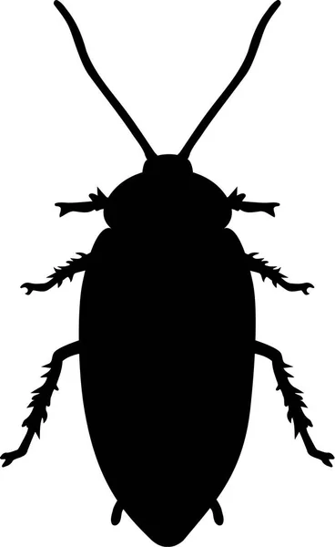 Diseño de vectores de cucaracha — Vector de stock