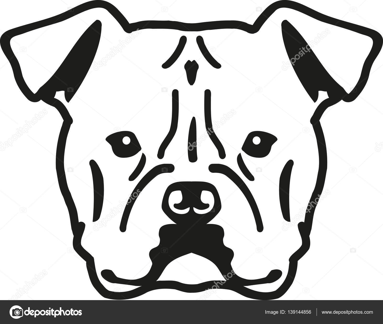 Download American Bulldog head — Stock Vector © miceking #139144856