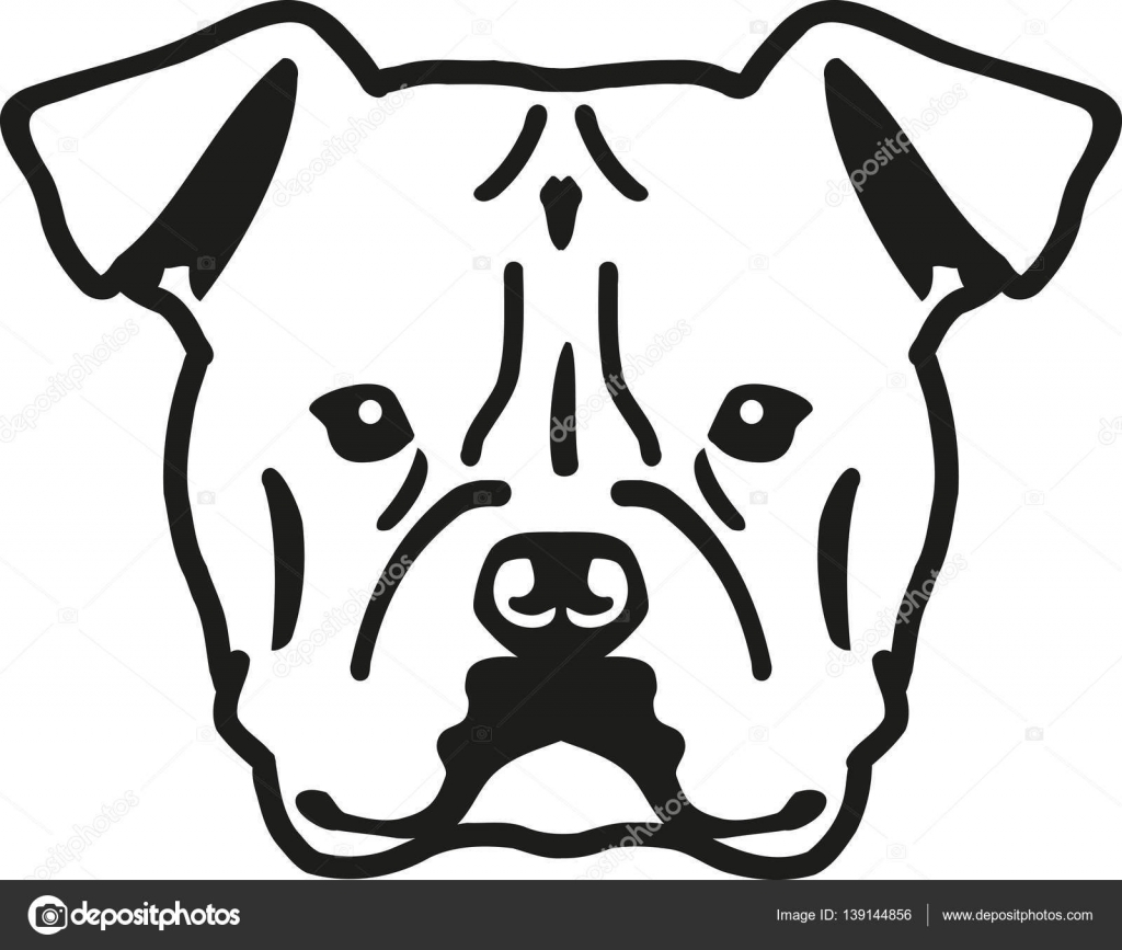 Download American Bulldog head — Stock Vector © miceking #139144856