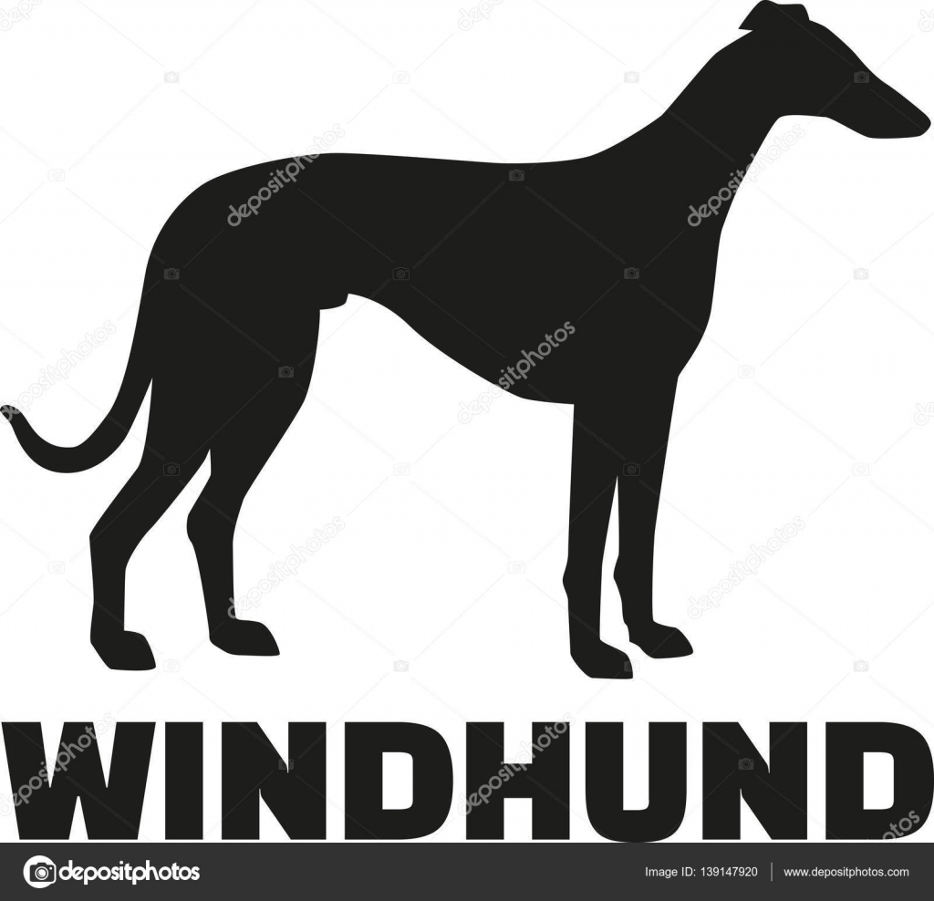 Chien Lévrier Avec Nom De La Race Allemande Image