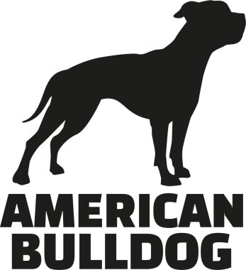 Cins adı ile Amerikan Bulldog