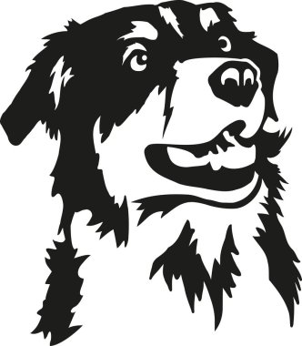 Download Australian Shepherd Dog Free Vector Eps Cdr Ai Svg Vector Illustration Graphic Art