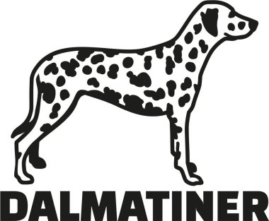 Cins adı Alman tepeli