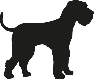 Dev Schnauzer siluet