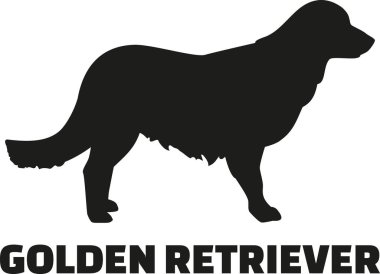 Cins adı ile altın geri almak