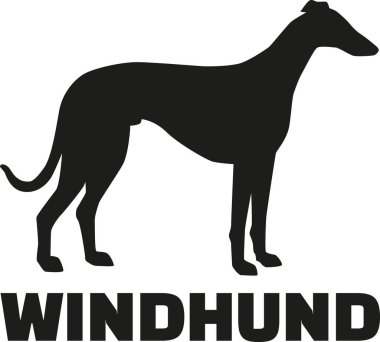 Greyhound köpek Alman cins adı ile