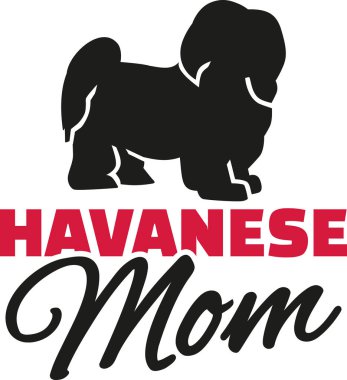 Havanese köpek siluet annesiyle