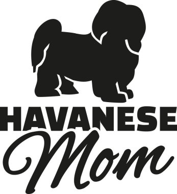 Havanese köpek anne