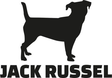 Jack Russell Terrier doğurmak adı ile