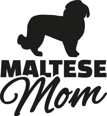 Malta köpek anne