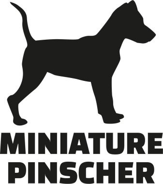 Minyatür pinscher ırkı adı ile