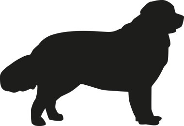 Newfoundland siluet vektör