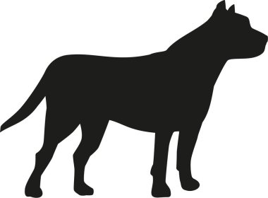 Çukur boğa köpek siluet