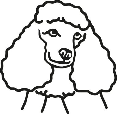 Fino köpeği baş vektör